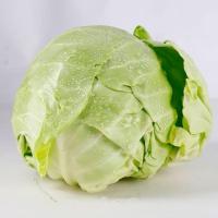【拍2份9折】10斤现摘新鲜卷心菜绿甘蓝蔬菜椰菜大头菜扁包菜小卷芯菜新鲜蔬菜