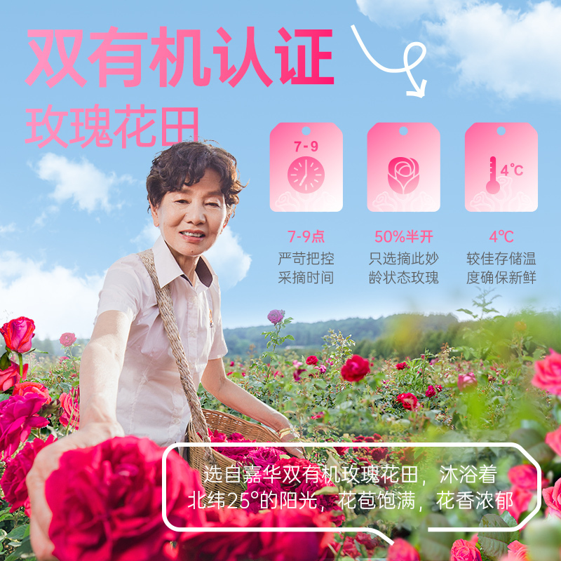 [嘉华]黑金玫瑰鲜花饼-现烤-8枚装 1盒 50g/个 鲜花饼 云南特产现烤手作经典玫瑰饼