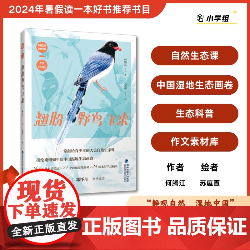 【店】翘盼野鸟飞来 2024暑期读一本好书动物、鸟、自然生态、中国湿地生态