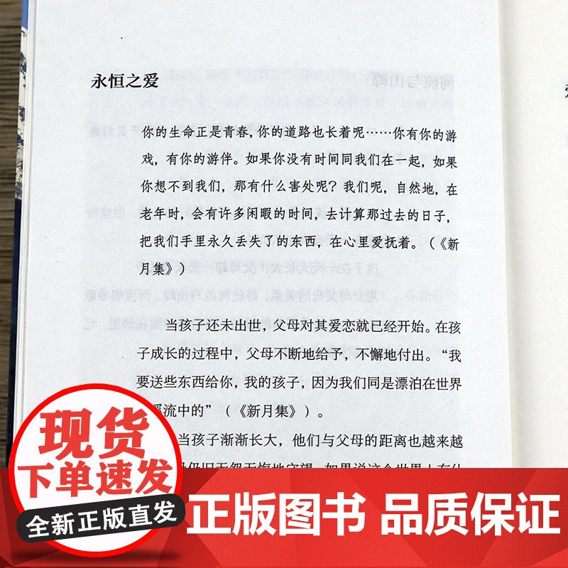 [全8册]大师开讲·弗洛姆+荣格+弗洛伊德+萨特+托尔斯泰+蒙田+卡夫卡+泰戈尔西方哲学心理学大师文豪哲思录生活感悟随想高清大图