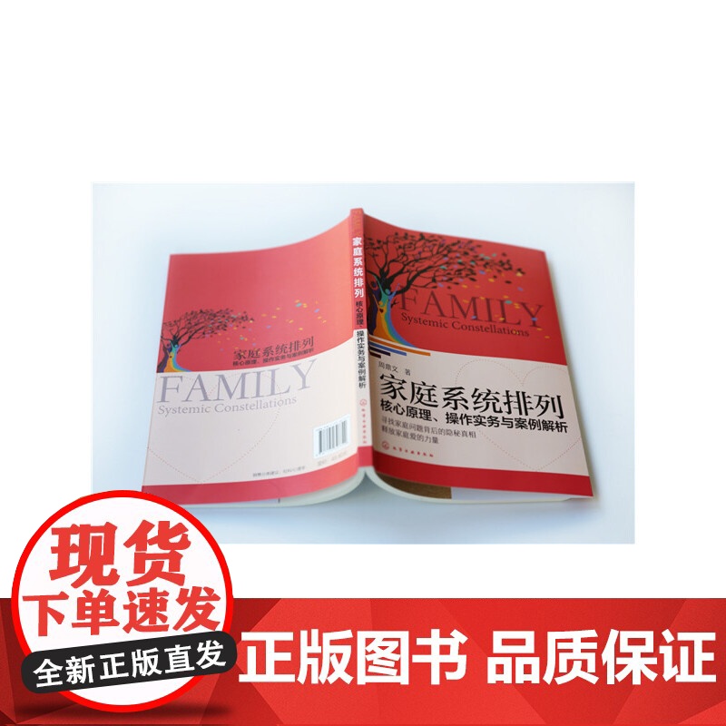 家庭系统排列:核心原理、操作实务与案例解析 化学工业出版社高清大图