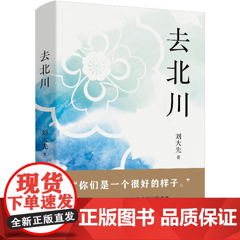 去北川 刘大先上海文艺出版社四川地震乡村振兴文化力量民族历史人文民族记忆地理变迁风物传统新时代山乡巨变长篇纪实文学高清大图