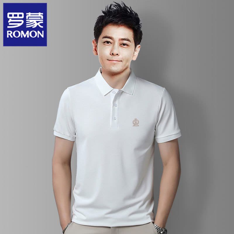 罗蒙夏季翻领短袖t恤男带领中青年商务休闲刺绣简约百搭POLO衫图片