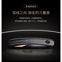 凯迪仕(Kaaas)指纹锁可视猫眼监控摄像智能门锁 人脸识别智能锁 Q20F Pro