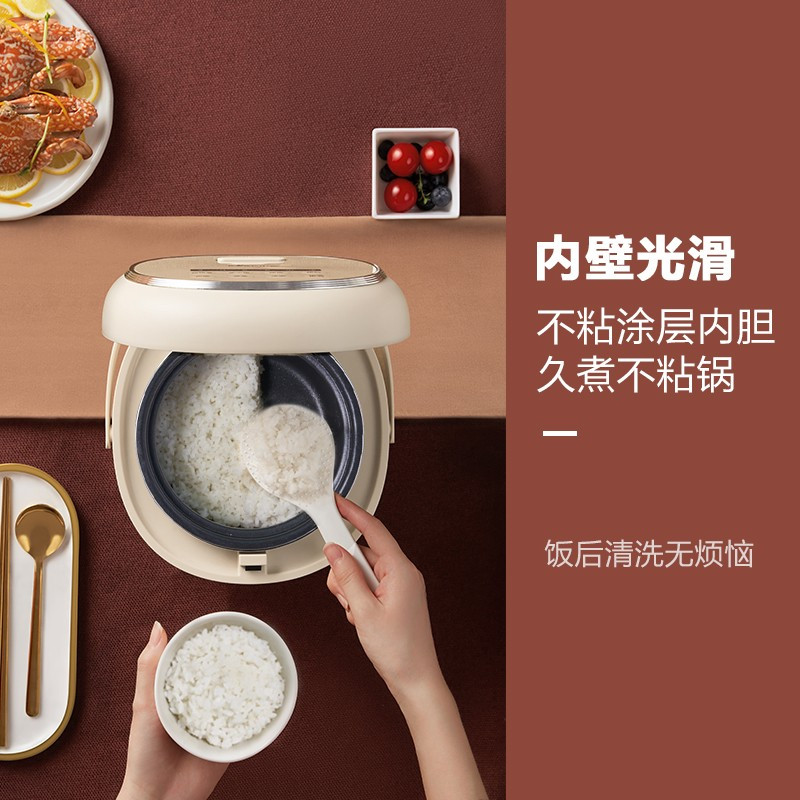 小熊(Bear)迷你电饭煲2L智能预约电饭锅家用多功能全自动小容量煮粥煮饭锅 DFB-P20H1 2L容量+双重不溢锅设
