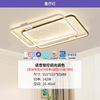 雷士照明[星雨]新款舒适光大瓦数北欧星空灯客厅主灯现代简约吸顶灯中山灯具