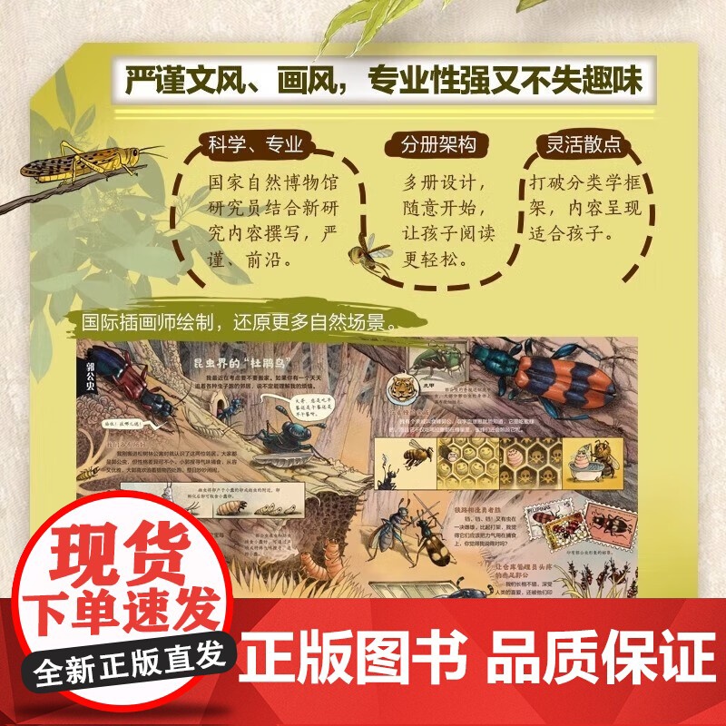 新昆虫记精装硬壳全套共9册 写给孩子的动物自然物语少儿昆虫类科普百科绘本 小学生一二三年级课外阅读书籍高清大图