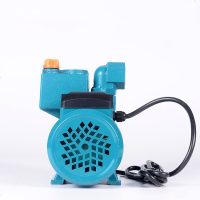 定做 直流自吸泵 家用48V自吸抽水泵 电瓶车抽水泵 12v 直流增压泵