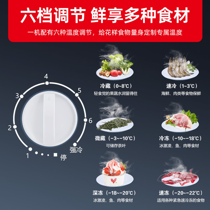 星星(XINGX)100升家用商用减霜净味冰柜 冷藏冷冻转换冷柜 节能顶开冰箱 BD/BC-100JKE