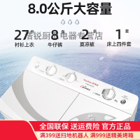 荣事达7/8/9KG半自动双桶双缸大容量宿舍家用老式迷你洗衣机小型 7公斤抗菌波轮（强力风干）