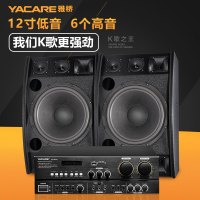 雅桥(Yacare) Y1专业高端家庭ktv点歌音响套装 会议舞台防啸叫音响