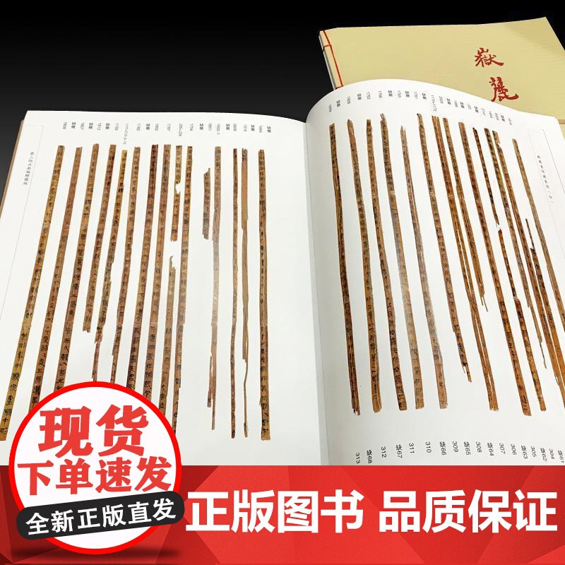 岳麓书院藏秦简(陆) 秦代法律史料 文物考古 古书契/出土文献 上海辞书出版社高清大图