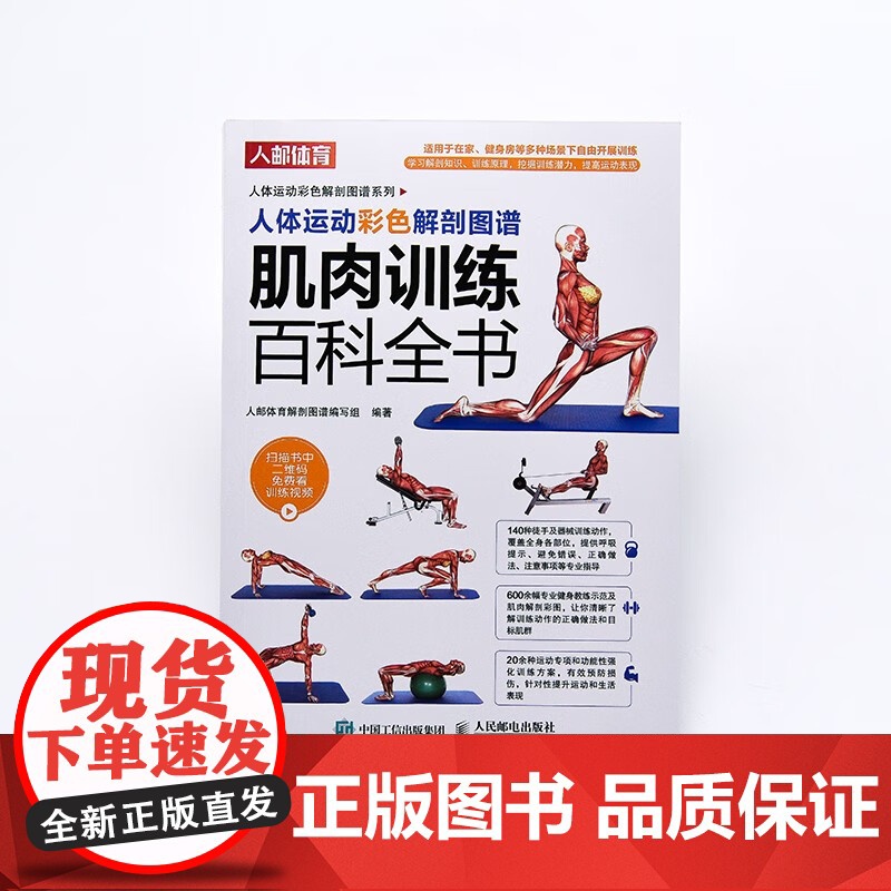 人体运动彩色解剖图谱 肌肉训练百科全书 人邮体育解剖图谱编写组 编著 运动健身高清大图