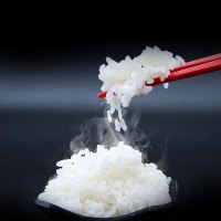 崇明岛 2023当季新米5kg(10斤)锁鲜新米 新米上市