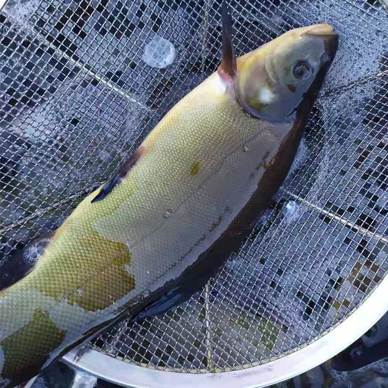 赛卡伊黑龙江特产冷水丁桂鱼铜锣鱼1斤丁桂鱼