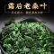 [正宗桑葚叶]桑叶茶正品特级新鲜霜后桑叶干桑葚叶泡茶水代用茶