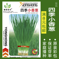 蔬菜种子四季播种阳台农家盆栽香菜菠菜生菜韭菜小葱草莓籽孑大四 均码 四季小香葱约500粒