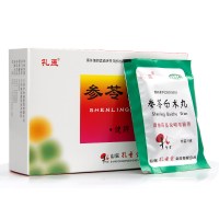 孔孟 参苓白术丸 6g*10袋/盒 健脾益气体倦乏力食少便溏