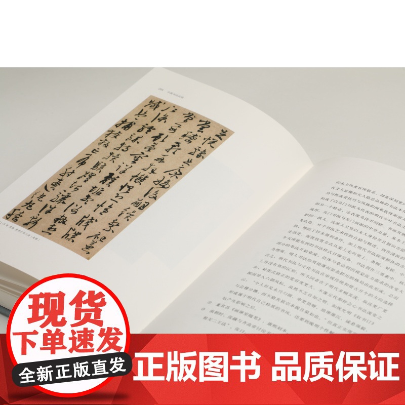 中国书法史观 中国美术研究丛书 卢甫圣著 上海书画出版社高清大图