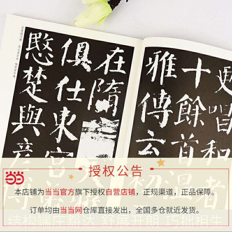 [正版]书籍墨点毛笔书法字帖入门临摹颜真卿颜勤礼碑初学者初学写好毛笔字颜体楷书练字帖临摹本传世碑帖精选毛笔楷书字帖