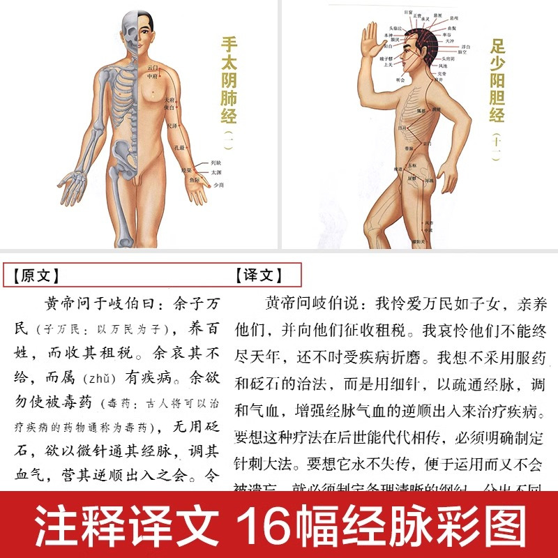 [正版]完整无删减全2册黄帝内经全集原文注释灵枢素问校释皇帝内经中医原著白话版经络穴位图解中医基础理论大全养生书籍