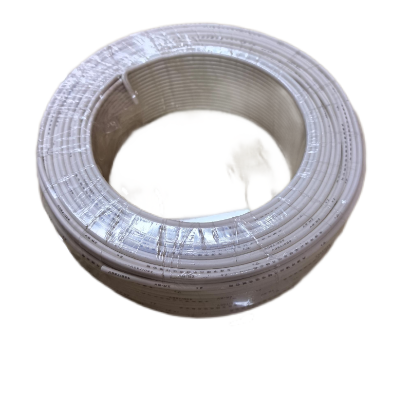 ZHE YAO DEVELOPMENT 阻燃电线 BV2.5mm2 (450/750V)卷高清大图