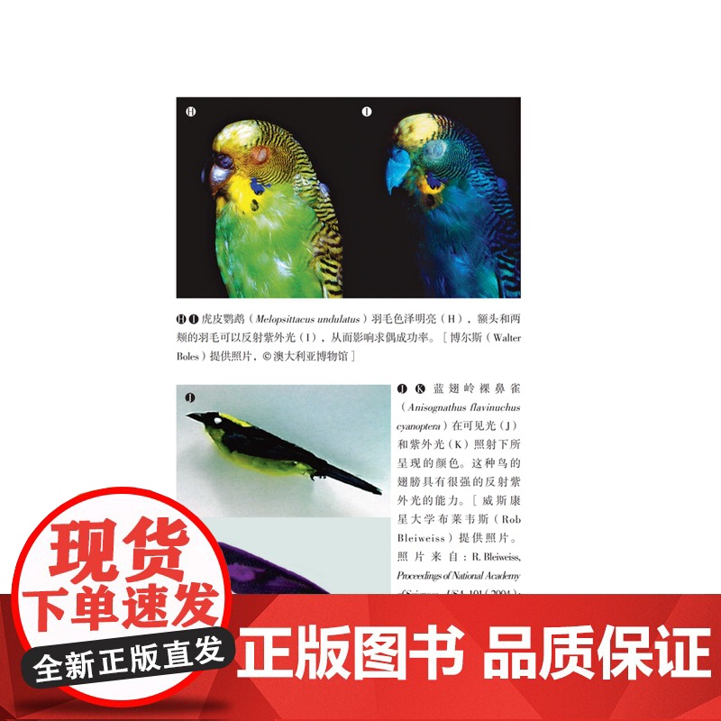 造就适者DNA和进化的有力证据 富兰克林生命科学奖获得者肖恩卡罗尔进化科学普及图书 上海科技教育出版社高清大图