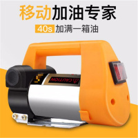 苏美特-Z136抽油泵220w12v小型接电瓶手提抽水车载通用