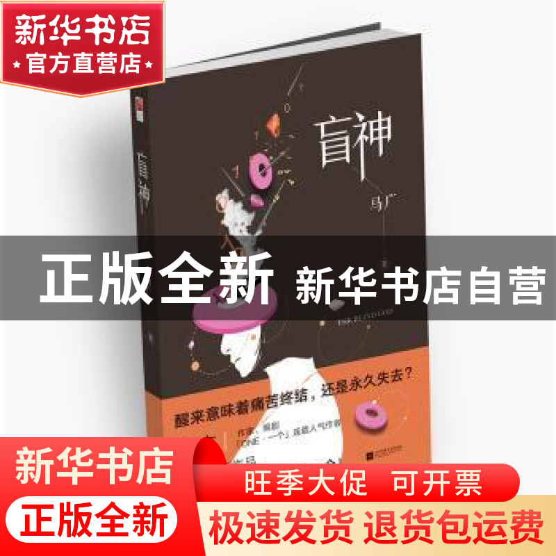 正版 盲神 马广著 江苏凤凰文艺出版社 9787559415233 书籍高清大图