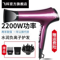 【限量100个】飞科电吹风机家用负离子冷热风大功率理发店专用专业大功率吹风筒不伤发 【FH6273】2200W功率
