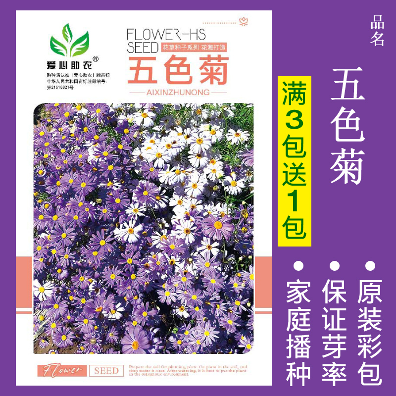 【补贴10%】花种子四季播盆栽雏菊向日葵薰衣草太阳花种籽孑大全虞美人种植 五色菊约200粒 均码