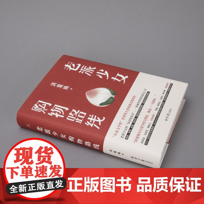 老派少女购物路线+东京八平米 生活指南套装 用食物记忆留住我们所爱之人 讲述东京平民故事 理想国正版高清大图