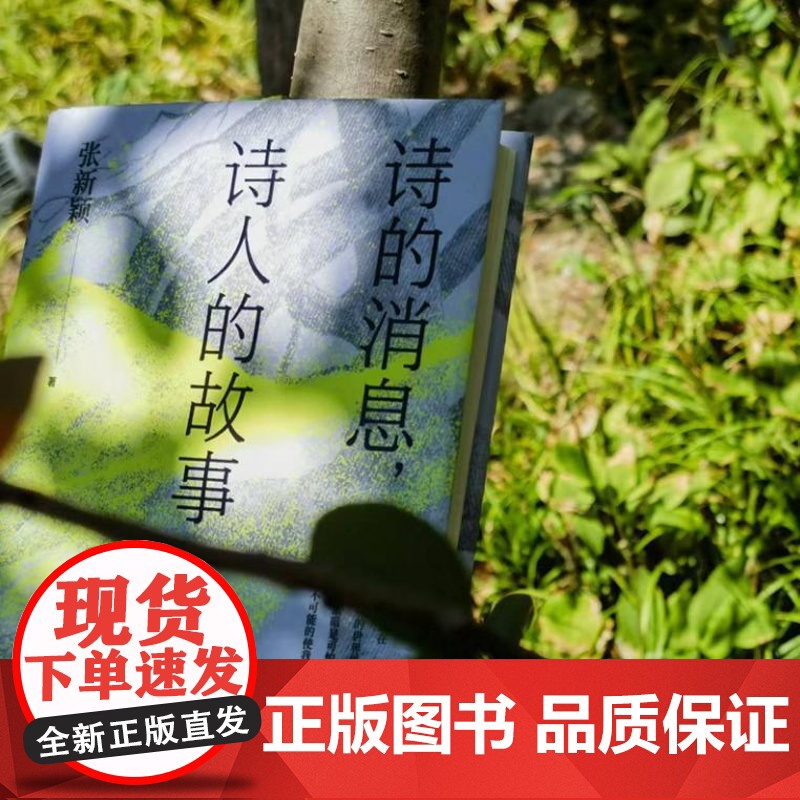 诗的消息,诗人的故事(复旦教授张新颖20多年“中国新诗”讲稿全新呈现) 9787532190379 上海文艺出版社 张新高清大图