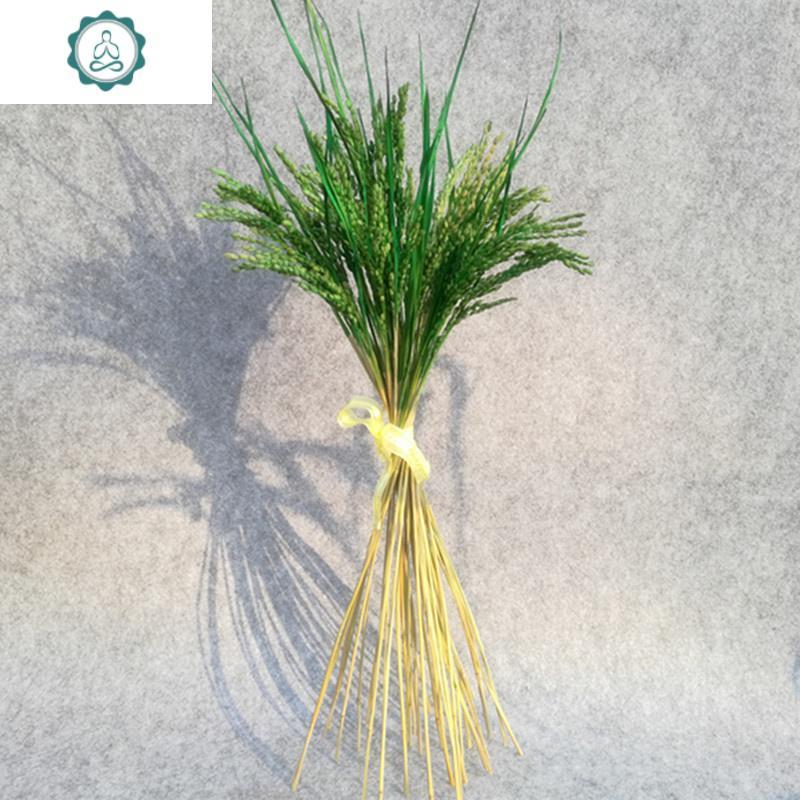 稻穗装饰真稻子稻谷干花桌面仿真假插花丰收拍摄影道具封后橙色一百支