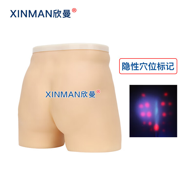 欣曼科教 针灸臀部训练模型 臀部针灸针刺扎针练习模型XM-ZC02高清大图