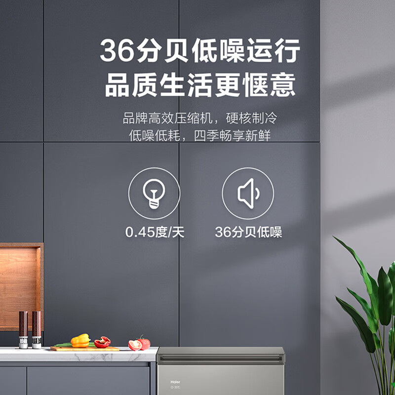 Haier海尔冰柜小型家用143升家用商用冷柜 迷你小冷柜小型冷冻柜 断电保护一机六用 一级能效 节能速冻式小冷柜高清大图