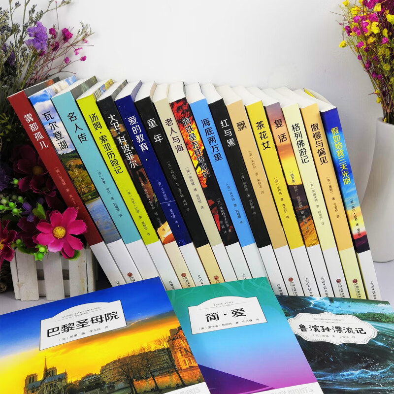 全套20册世界二十大名著必读正版原著钢铁是怎样炼成的鲁滨逊漂流记巴黎圣母院童年高高清大图