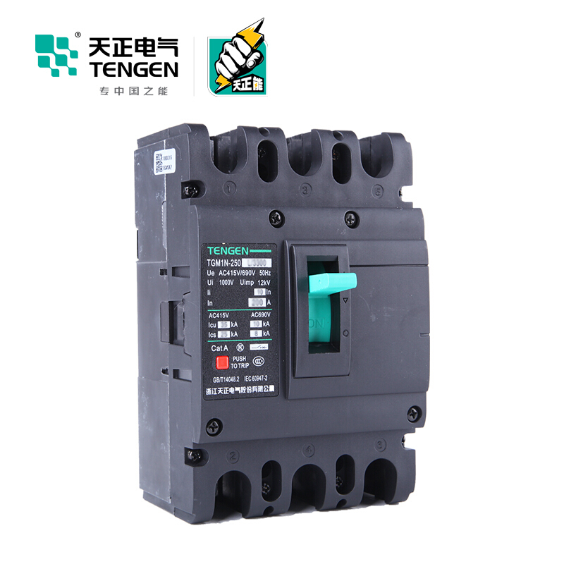 天正电气 TGM1N-250L 35KA 热磁式 160A 3P 手动固定式380V 330021700102塑壳断路器