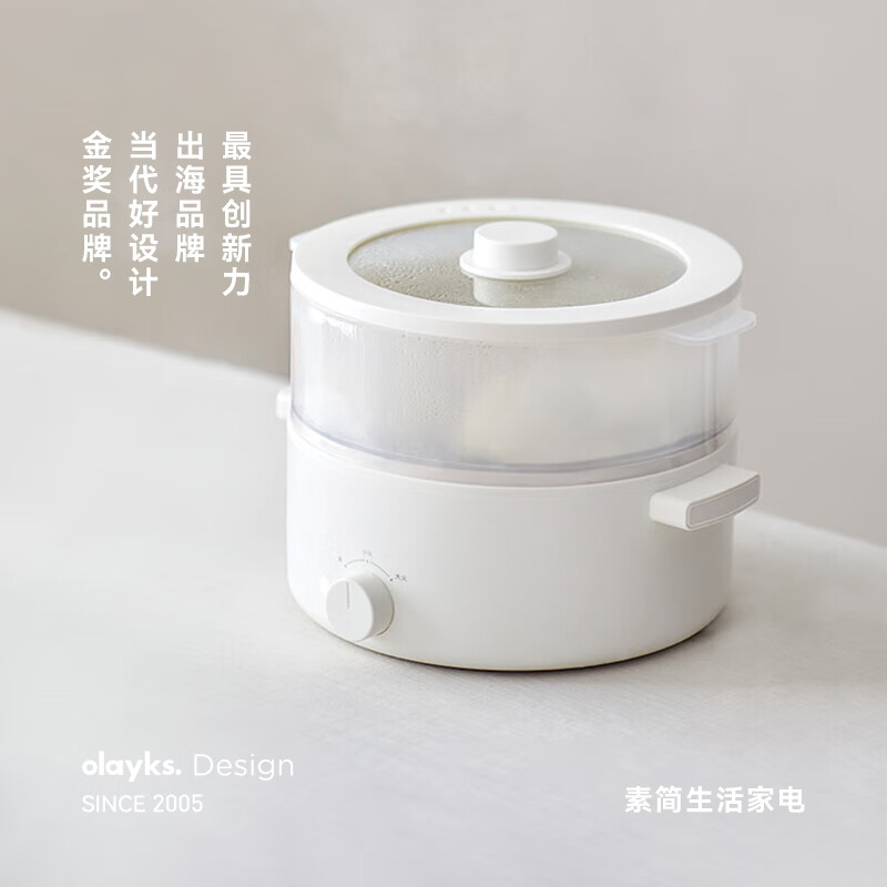 olayks.立时5L电火锅(带笼)OLK-01-12 ZCDHG00102