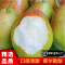 嗨果粒新疆 库尔勒香梨[顺丰] 生鲜 新鲜水果