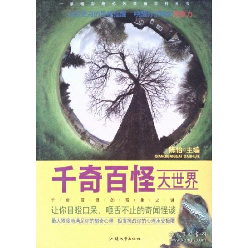 正版新书】千奇百怪大世界陈怡9787565813245