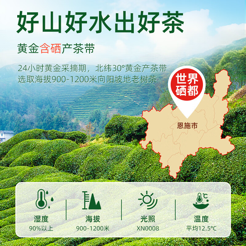茶馬世家 恩施玉露 特级罐装小泡袋茶叶绿圆罐 80g*1罐(单位:罐)高清大图