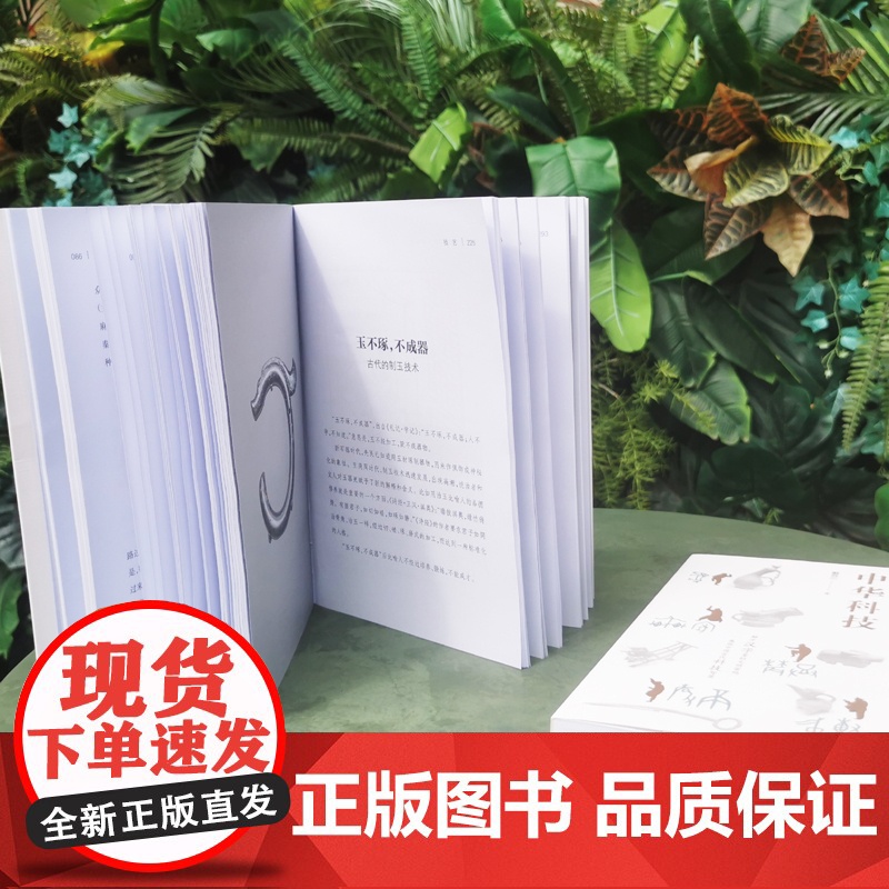 汉字里的中华科技/成语里的中华科技 戴吾三作品科普文化读物上海科技教育出版社展现中国古代科技智慧高清大图