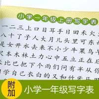 幼儿汉字描红幼小衔接一日一练 笔画笔顺汉子描红儿童练字本练字帖学前300字语文教材入学准备幼儿园中班大班幼升小为一年级做