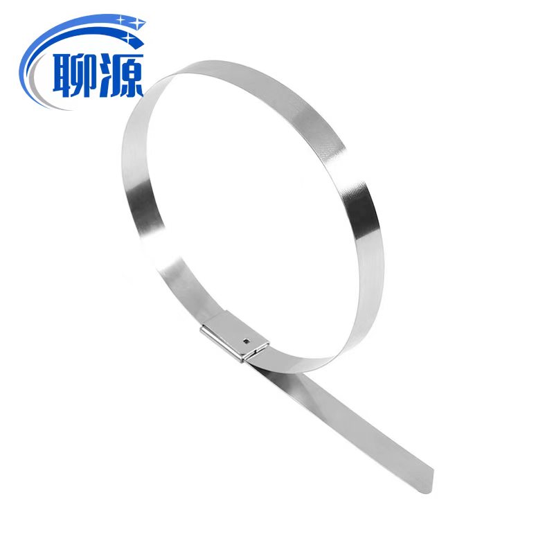 聊源自锁式不锈钢扎带16×1000mm/根高清大图