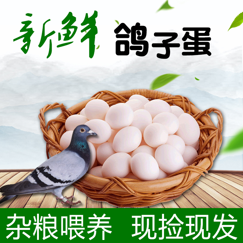 [熊猫鸟]新鲜鸽子蛋 50枚 17-22g/个 农家散养杂粮土鸽蛋白鸽蛋宝宝辅食