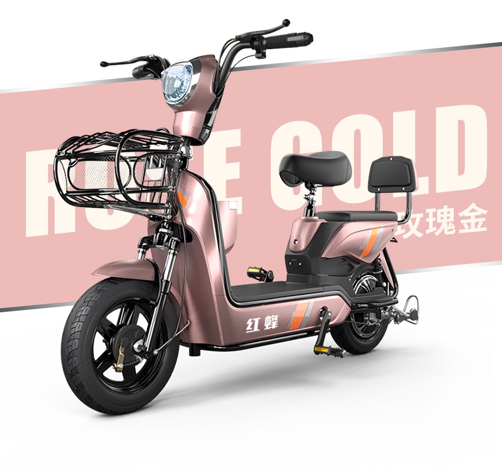 红蜂长跑王电动车新国标电瓶车电动自行车助力车 20a电池续航95公里