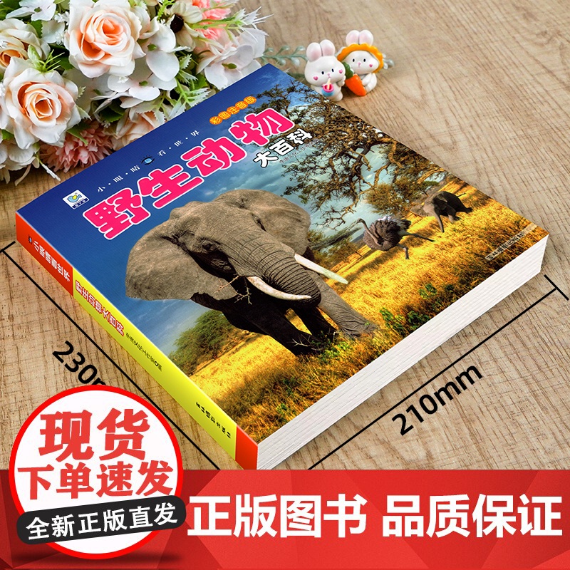 野生动物百科全书幼儿大百科全套军事坦克飞机动物世界儿童注音版科普小百科海洋空恐龙绘本科学认知幼儿少儿3-6岁书籍dk世界高清大图
