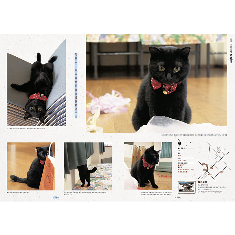 [正版]喵 欢迎来到日本的猫咪旅馆 治愈系度假旅馆集锦 日本宠物旅馆 特色猫咪服务 爱猫人士特色旅行指南 日本の猫宿