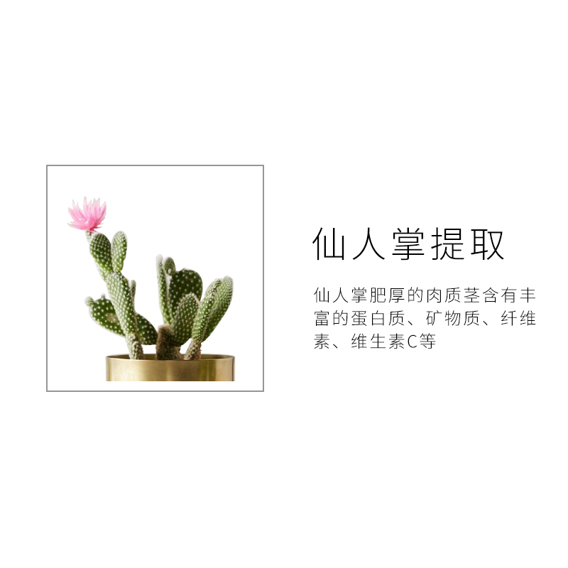 澳妍诗 AM早间面膜+PM夜间面膜+V脸光环约会面膜组合试用装